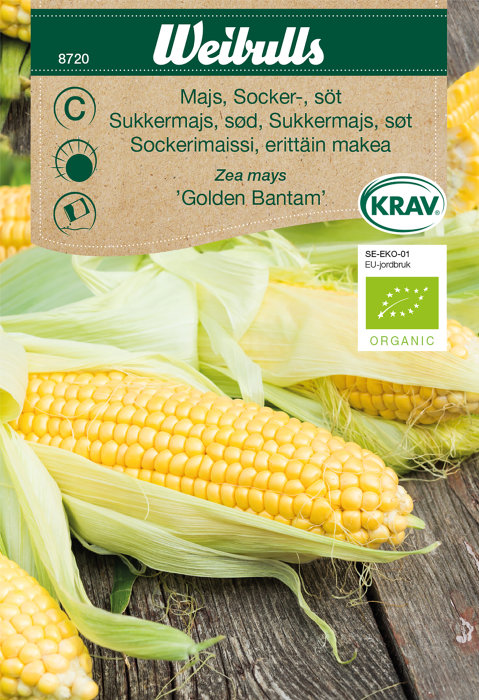 Sukkermais ´Golden Bantam` økologisk